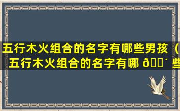 五行木火组合的名字有哪些男孩（五行木火组合的名字有哪 🌴 些男孩取名）